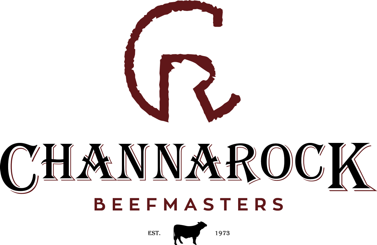 Channarock Beefmasters Beefmaster Cattle Two Sales In February